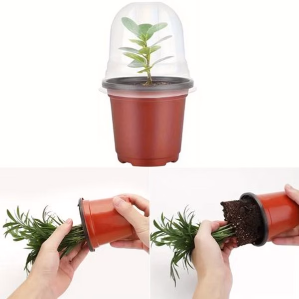 20 Piece Plant Propagation Domes with Pots & Plant Labels - Image 3