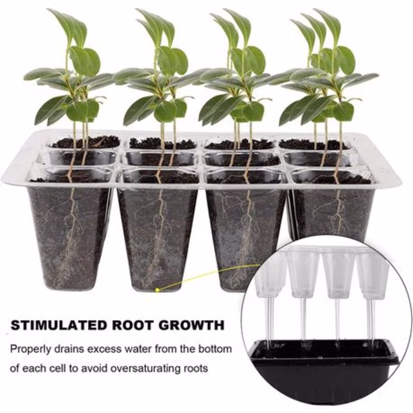 5 Pack Seed Starter Tray Kit with Humidity Control Vents - Image 5