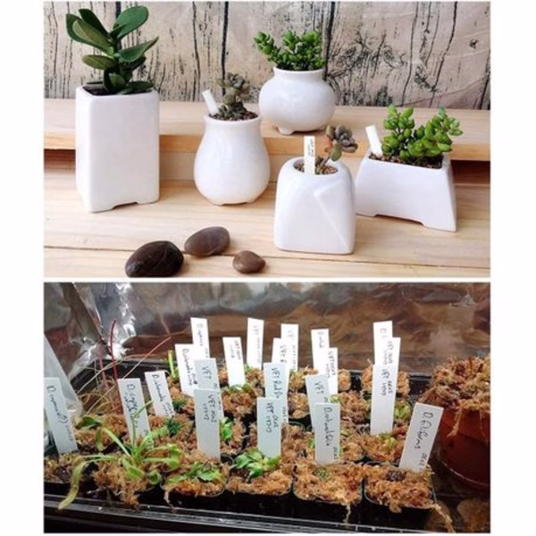 600 Pieces Plastic Plant Labels (10cm x 2cm) - Image 2