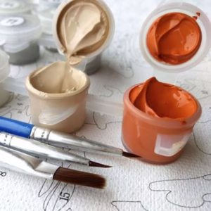 Paint By Numbers for Adults (40cmx50cm)