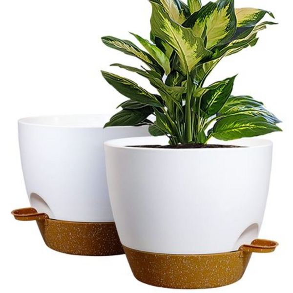 25.5cm Self-Watering Plant Pots with Drainage Tray - 2 Pack - Image 5