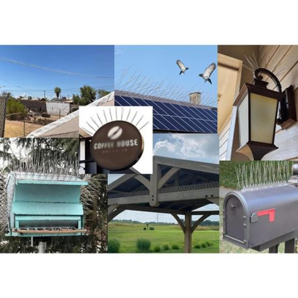 10pcs Stainless Steel Bird Spikes (33cm each length) - Image 5