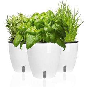 Set Of 6 Self Watering Plant Pots With Water Level indicator Window