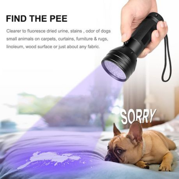 UV Flashlight Pet Urine Detector Black Light - Image 3