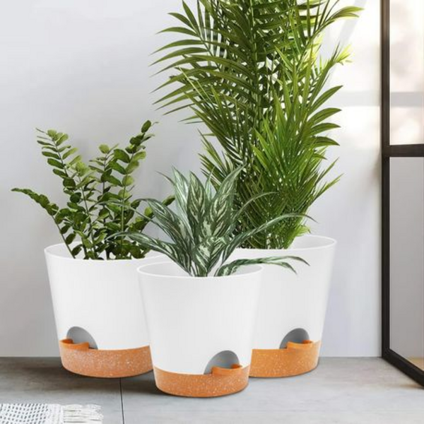 3PCS Self-Watering Planters with Removable Drainage Tray - 25cm, 23cm, 20cm - Image 4