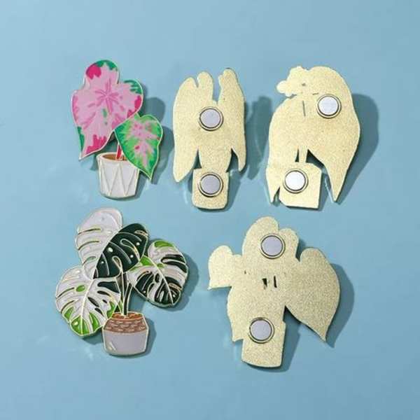 Anthurium & Monstera Plant Magnet Set with Floating Display Frames - Image 3