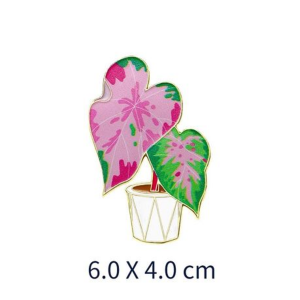 Caladium "Heart of Jesus" Magnet Set with Floating Display Frames - Image 3