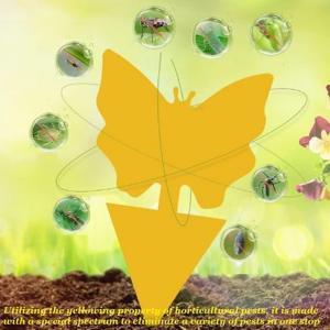 24-Pack Supersticky Insect Traps - Double-Sided Design - Image 4