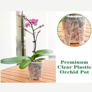 Clear Low Profile Plastic Orchid/Aroid Pots Set of 6 (Choose Your Size) - 11 cm - Image 3