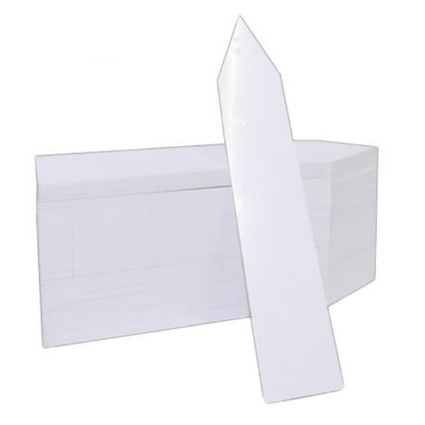 100 Pieces Plastic Plant Labels (10cm x 2cm)