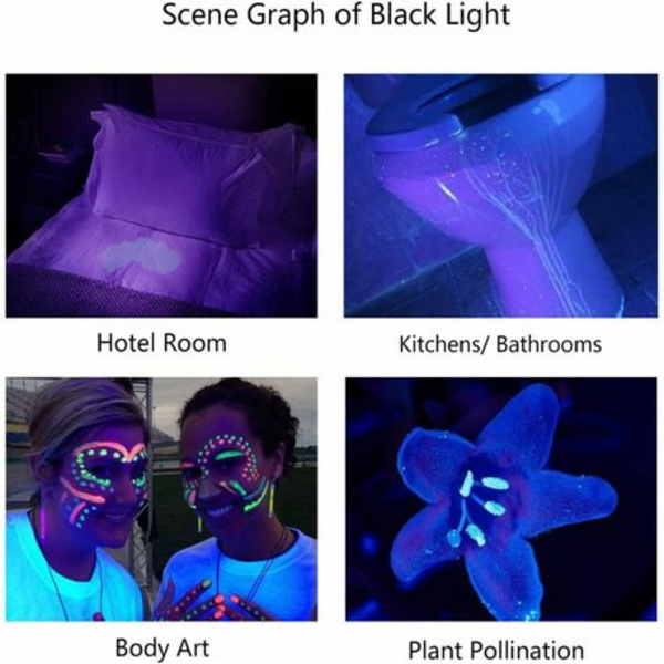 UV Flashlight Pet Urine Detector Black Light - Image 5