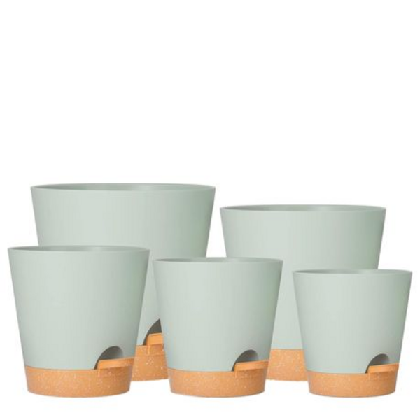 5-Piece Self-Watering Plant Pot Set- 12.7-17.8cm - Detachable Watering Tray - Image 14