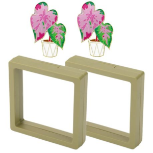 Caladium "Heart of Jesus" Magnet Set with Floating Display Frames