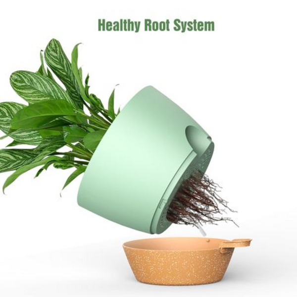 25.5cm Self-Watering Plant Pots with Drainage Tray - 2 Pack - Image 3