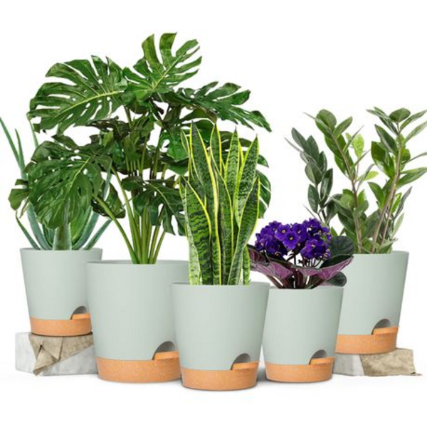 5-Piece Self-Watering Plant Pot Set- 12.7-17.8cm - Detachable Watering Tray - Image 15