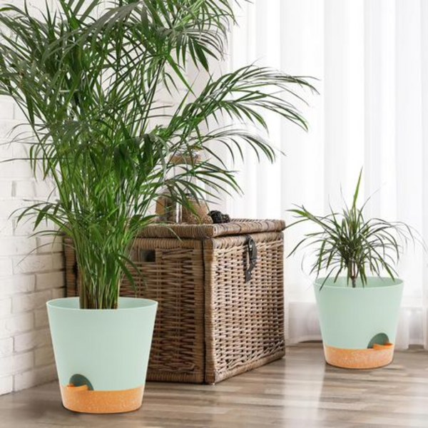 3PCS Self-Watering Planters with Removable Drainage Tray - 25cm, 23cm, 20cm - Image 16