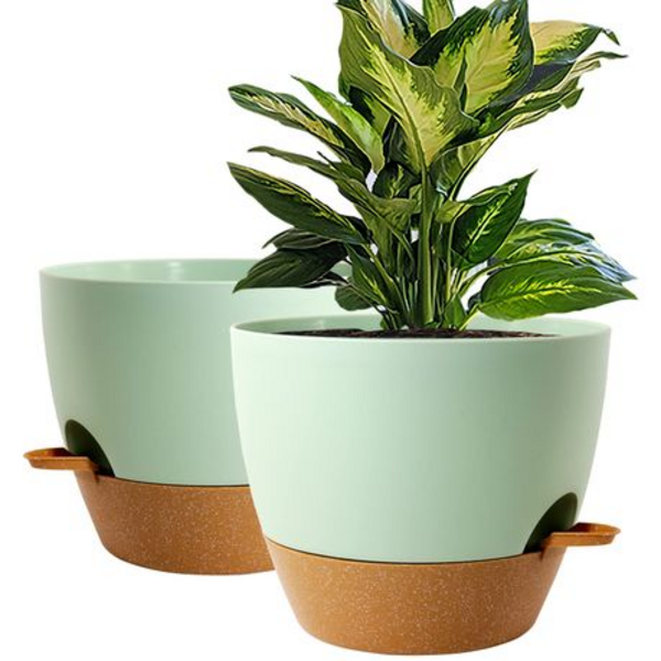 25.5cm Self-Watering Plant Pots with Drainage Tray - 2 Pack - Image 9