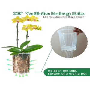 Clear Low Profile Plastic Orchid/Aroid Pots Set of 6 (Choose Your Size) - 11 cm - Image 5