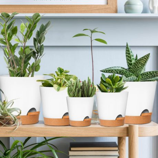 5-Piece Self-Watering Plant Pot Set- 12.7-17.8cm - Detachable Watering Tray - Image 17