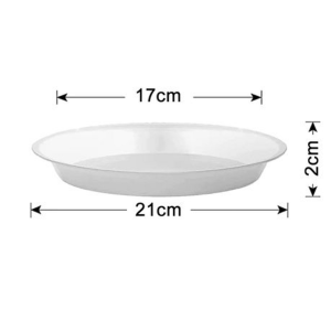 Clear Saucer for Orchid/Aroid Pots Set Of 6 (Chose Your Size) - 8 cm - Image 3