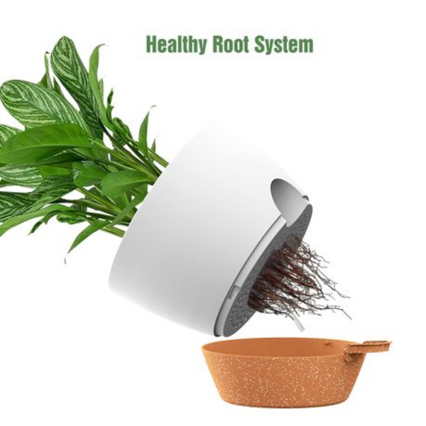 25.5cm Self-Watering Plant Pots with Drainage Tray - 2 Pack - Image 10