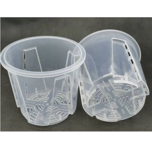 Clear Low Profile Plastic Orchid/Aroid Pots Set of 6 (Choose Your Size) - 11 cm - Image 6