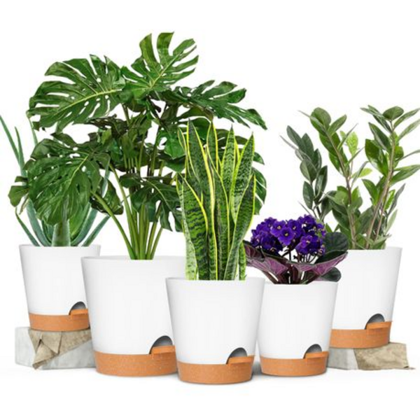 5-Piece Self-Watering Plant Pot Set- 12.7-17.8cm - Detachable Watering Tray - Image 12