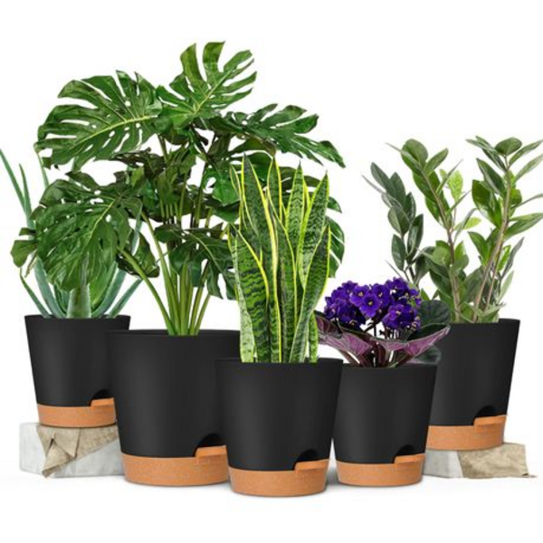 5-Piece Self-Watering Plant Pot Set- 12.7-17.8cm - Detachable Watering Tray - Image 8
