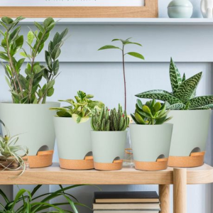 5-Piece Self-Watering Plant Pot Set- 12.7-17.8cm - Detachable Watering Tray - Image 4