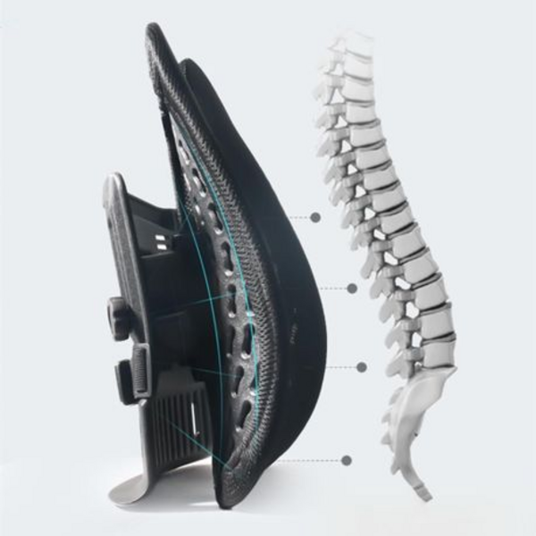 Adjustable & Breathable Lumbar Support - 40x40x14cm