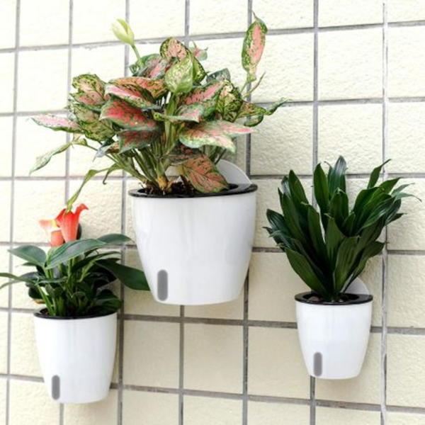 6 X Wall Hung Self Watering Plant Pots With Water Level Indicator Window