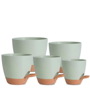 5-Piece Self-Watering Polypropylene Planter Set - (12.5cm to 17cm) - Image 8