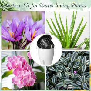 Set Of 6 Self Watering Plant Pots With Water Level indicator Window - Image 2