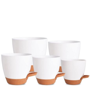 5-Piece Self-Watering Polypropylene Planter Set - (12.5cm to 17cm) - Image 9