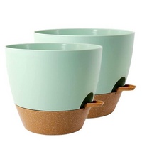 25.5cm Self-Watering Plant Pots with Drainage Tray - 2 Pack