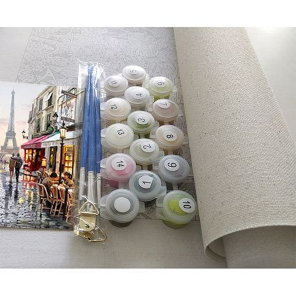 Paint By Numbers for Adults (40cmx50cm)