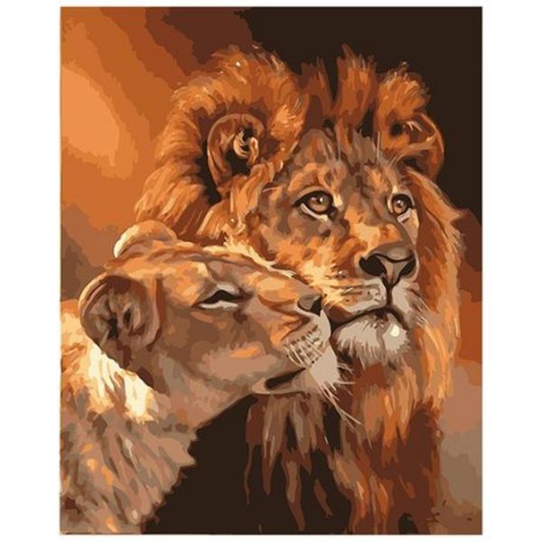 Paint By Numbers for Adults (40cmx50cm)