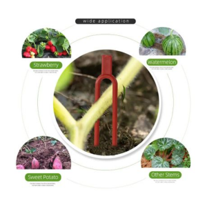 500-Pack Strawberry Runner Fixing Clips - 6 cm U-Shaped Plant Pegs (Red) - Image 3