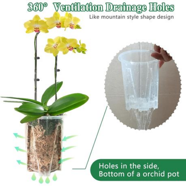 Clear Plastic Orchid/Aroid Pots Set of 6 (Choose Your Size) - Image 7
