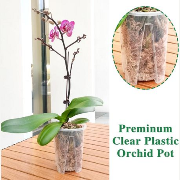 Clear Plastic Orchid/Aroid Pots Set of 6 (Choose Your Size) - Image 6