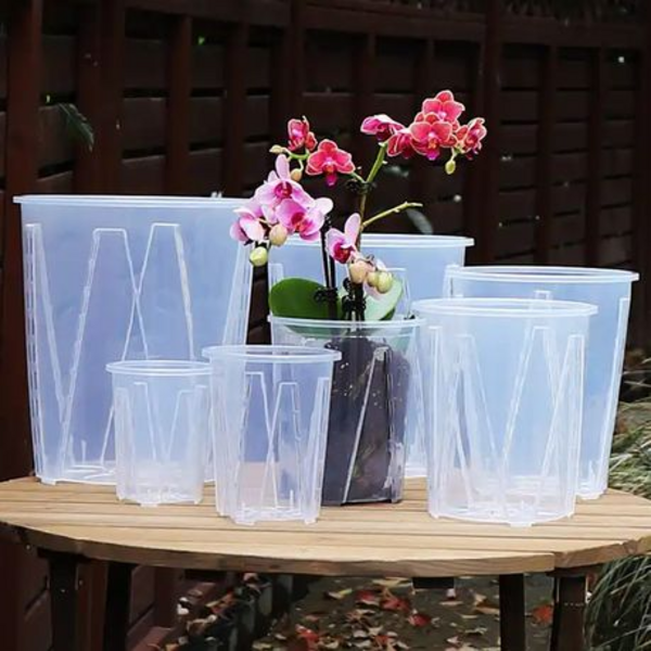 Clear Plastic Orchid/Aroid Pots Set of 6 (Choose Your Size) - Image 9