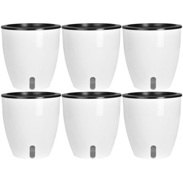 Set Of 6 Self Watering Plant Pots With Water Level indicator Window