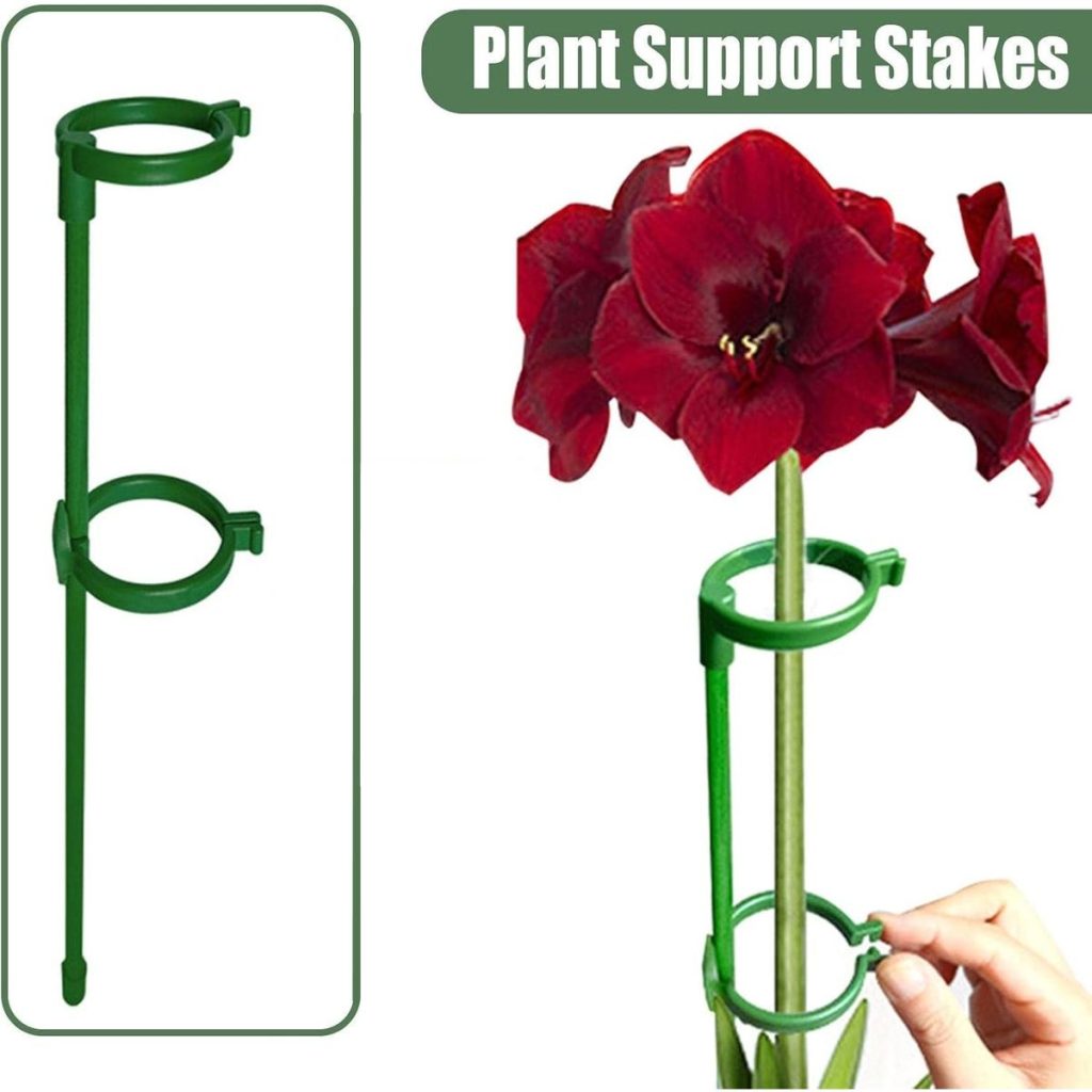 Plant Support Stakes with 20 Clips - Stem Support Rings - 10 Pack