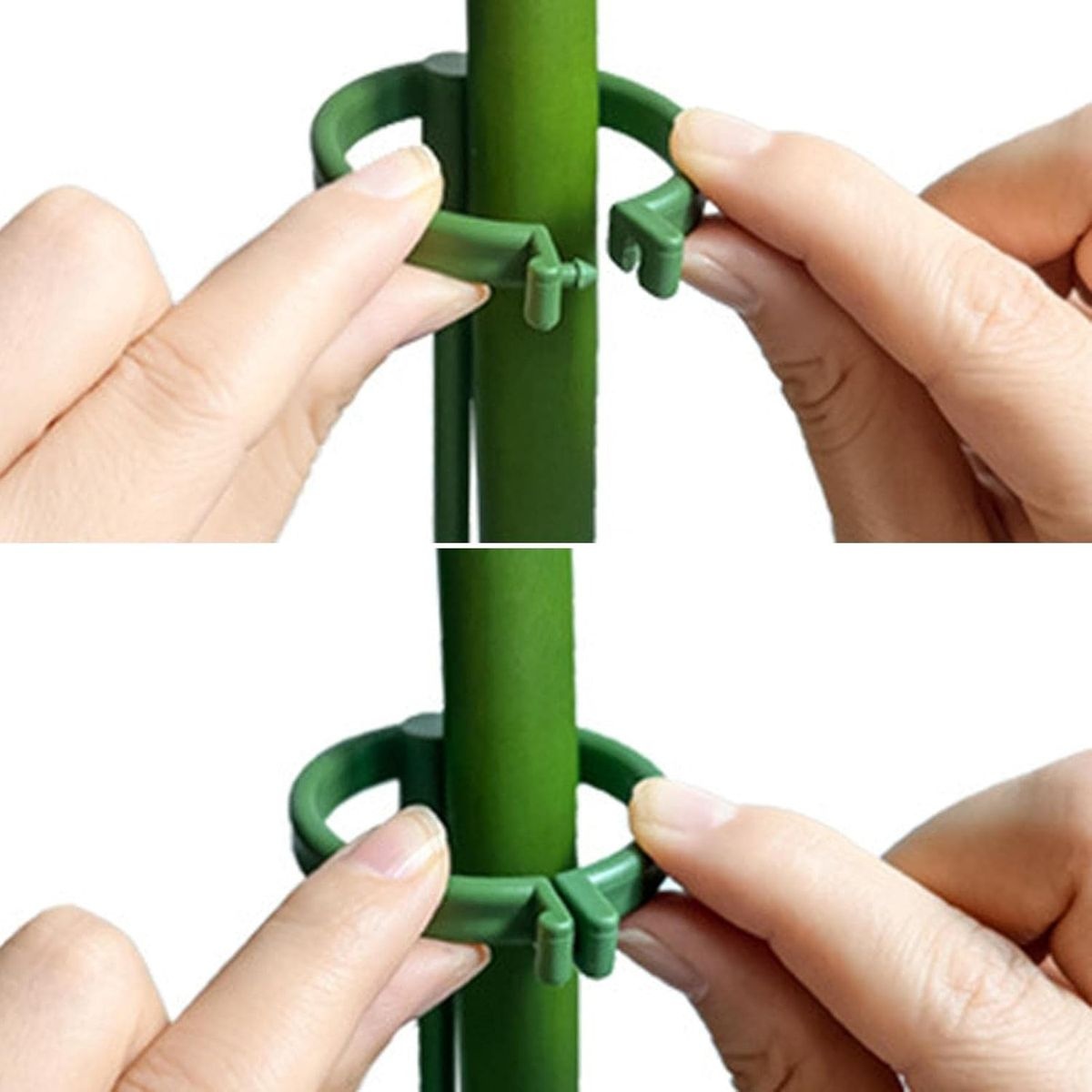Plant Support Stakes with 20 Clips - Stem Support Rings - 10 Pack - Image 4