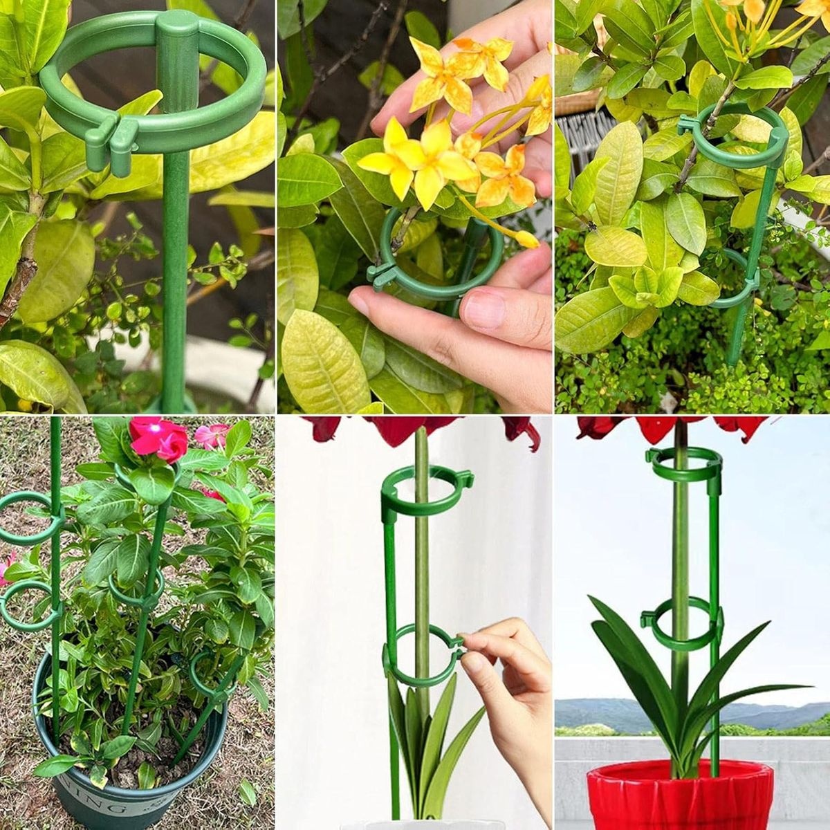 Plant Support Stakes with 20 Clips - Stem Support Rings - 10 Pack - Image 5