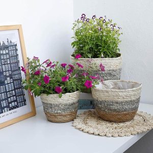 3-Pack Seagrass Plant Basket Set with Waterproof Liners (S/M/L) - Image 4