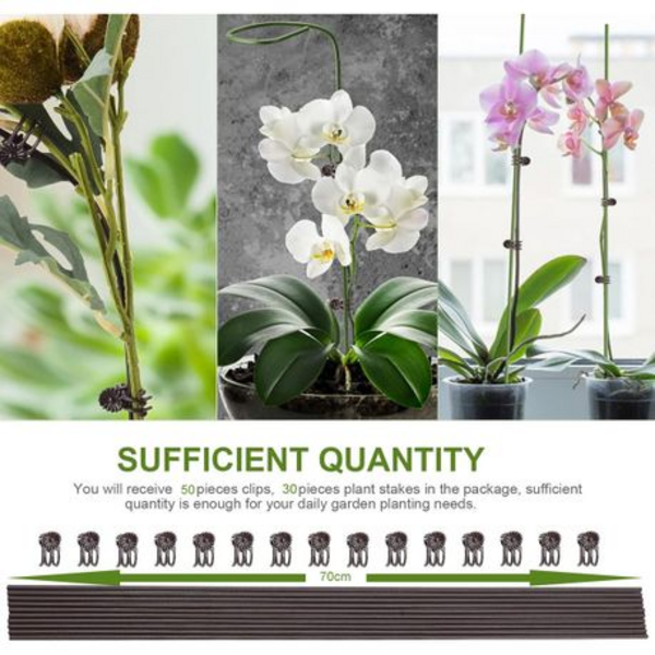 30 Plastic Coated Orchid Stakes 70cm and 50 Clips