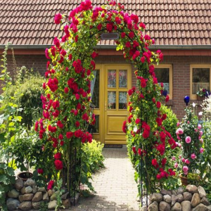 Metal Garden Arch Trellis - Balloon Arches & Plant Support 1.4x2.3m - Image 4