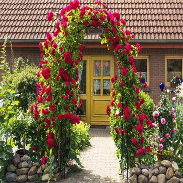 Metal Garden Arch Trellis - Balloon Arches & Plant Support 1.4x2.3m