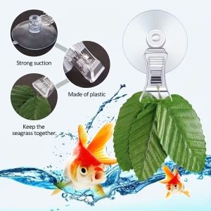 Clear Aquarium Nori & Seaweed Clips with Suction Cup - 2 Pack - Image 3